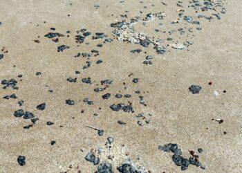 Presencia de fragmentos de hidrocarburo en Playa Miramar es cotidiana, asegura alcalde. Foto de Marthaolivia.com.mx