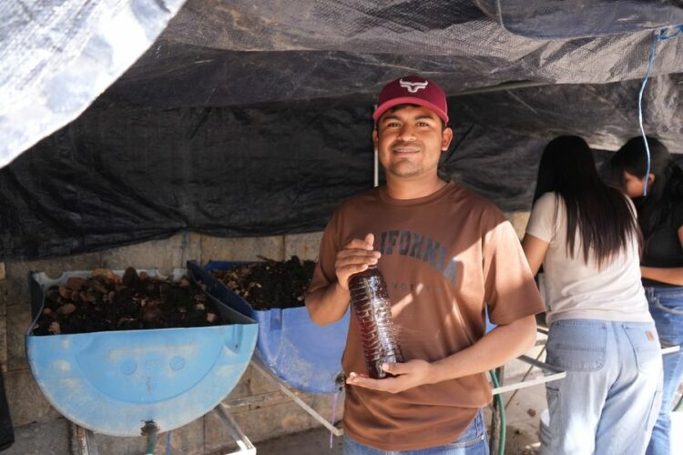 Desarrolla la UAT biofertilizantes líquidos a partir de lombricomposta