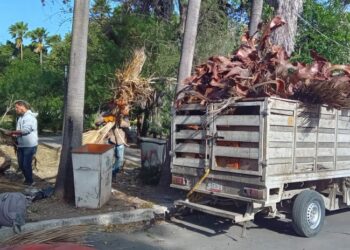 Activa Municipio operativo de limpieza y prevención por fuertes vientos en Victoria