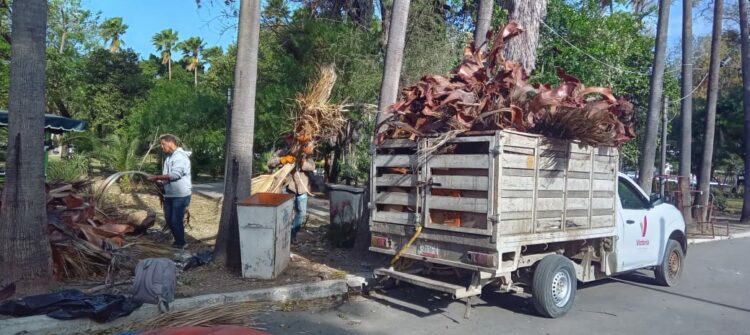 Activa Municipio operativo de limpieza y prevención por fuertes vientos en Victoria