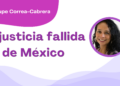 Por Guadalupe Correa - Cabrera | La justicia fallida de México