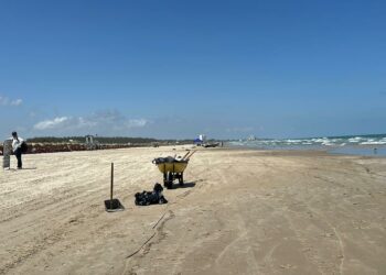 Crearán observatorio para monitorear el Golfo de México. Foto de marthaolivia.com.mx