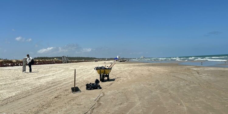 Crearán observatorio para monitorear el Golfo de México. Foto de marthaolivia.com.mx
