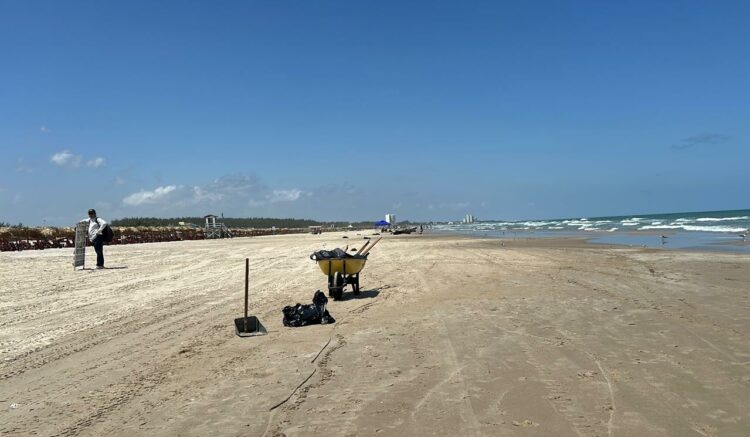 Crearán observatorio para monitorear el Golfo de México. Foto de marthaolivia.com.mx