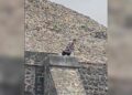 Al menos dos muertos y tres heridos tras balacera en la zona arqueológica de Teotihuacán. Foto tomada de video
